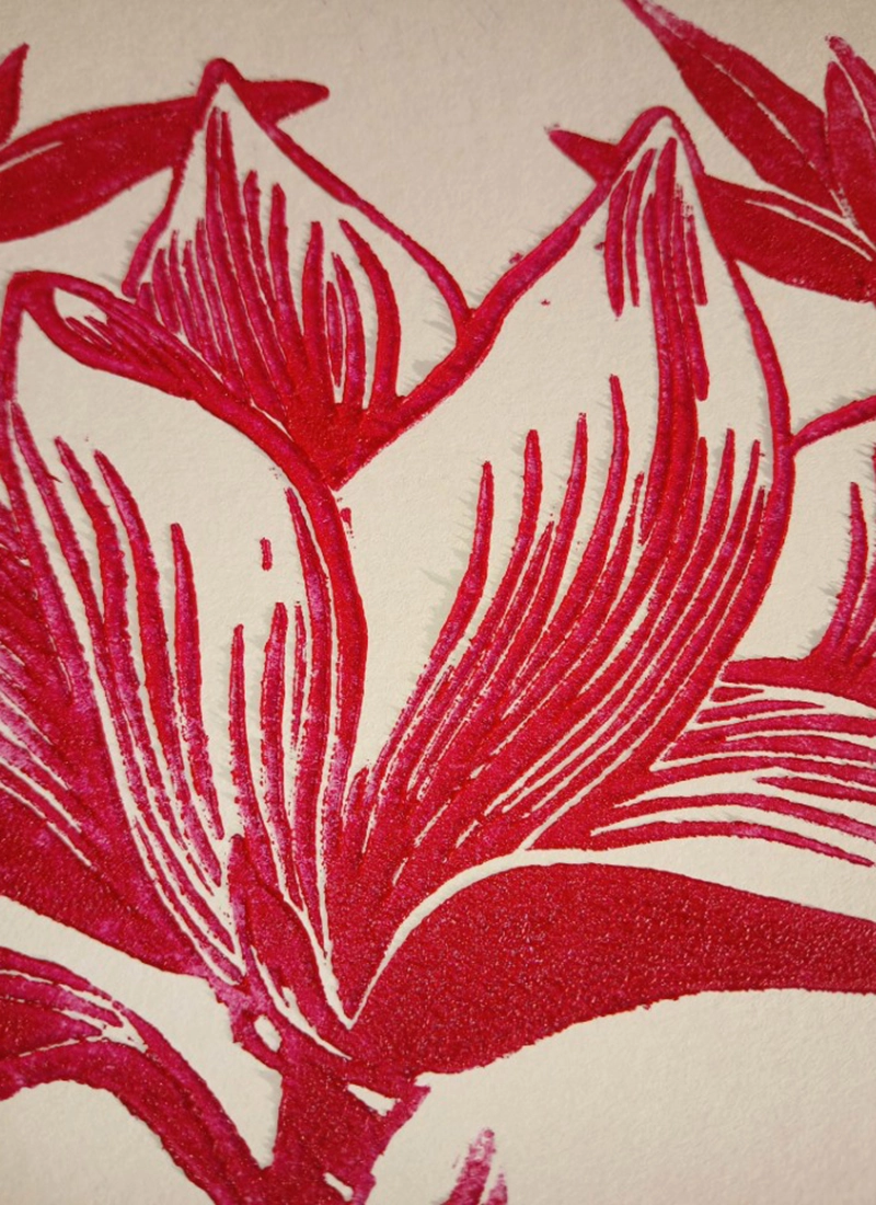 Magnolia - Image 3