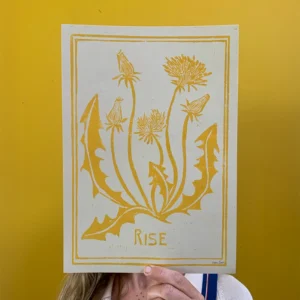 Rise