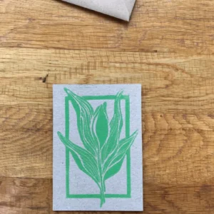 Card Bloom