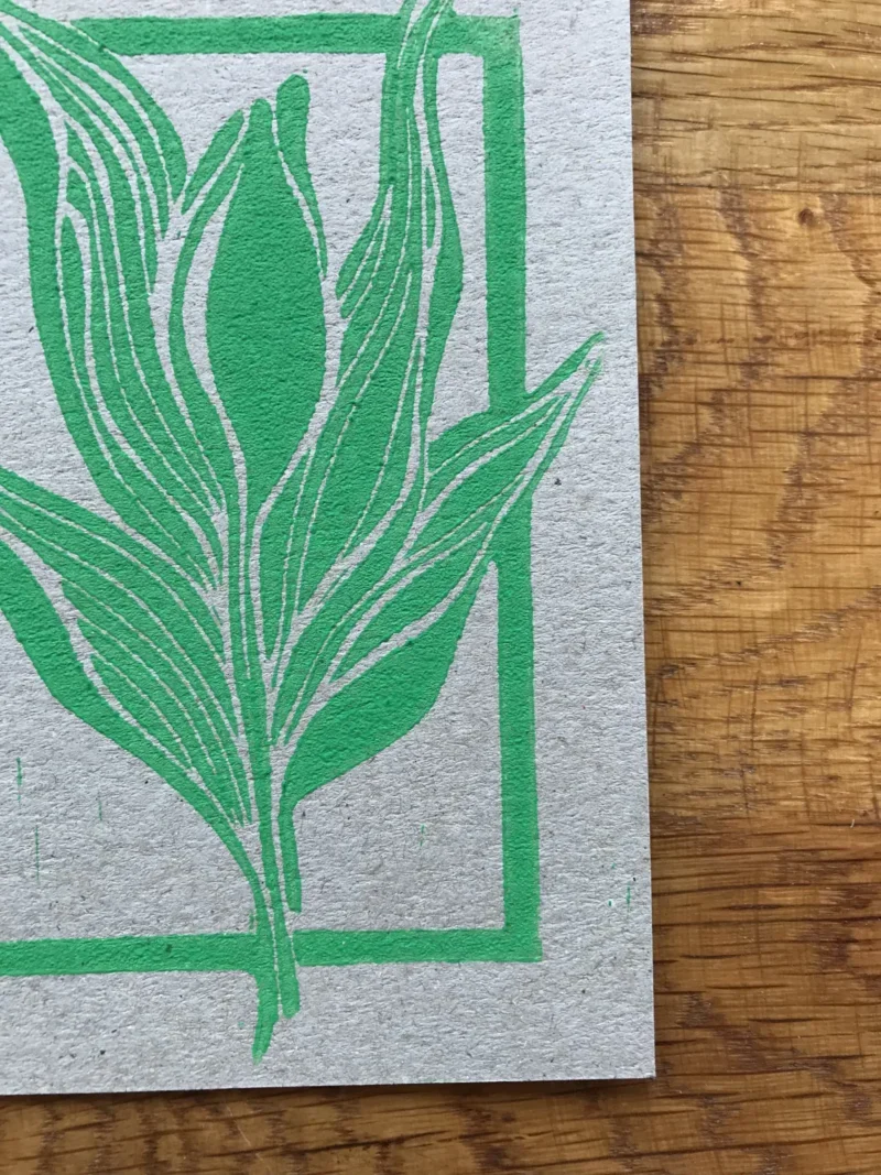 Card Bloom - Image 3
