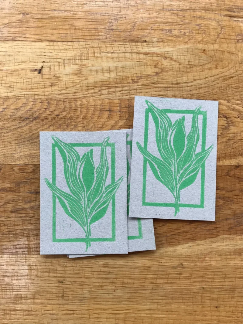 Card Bloom - Image 4