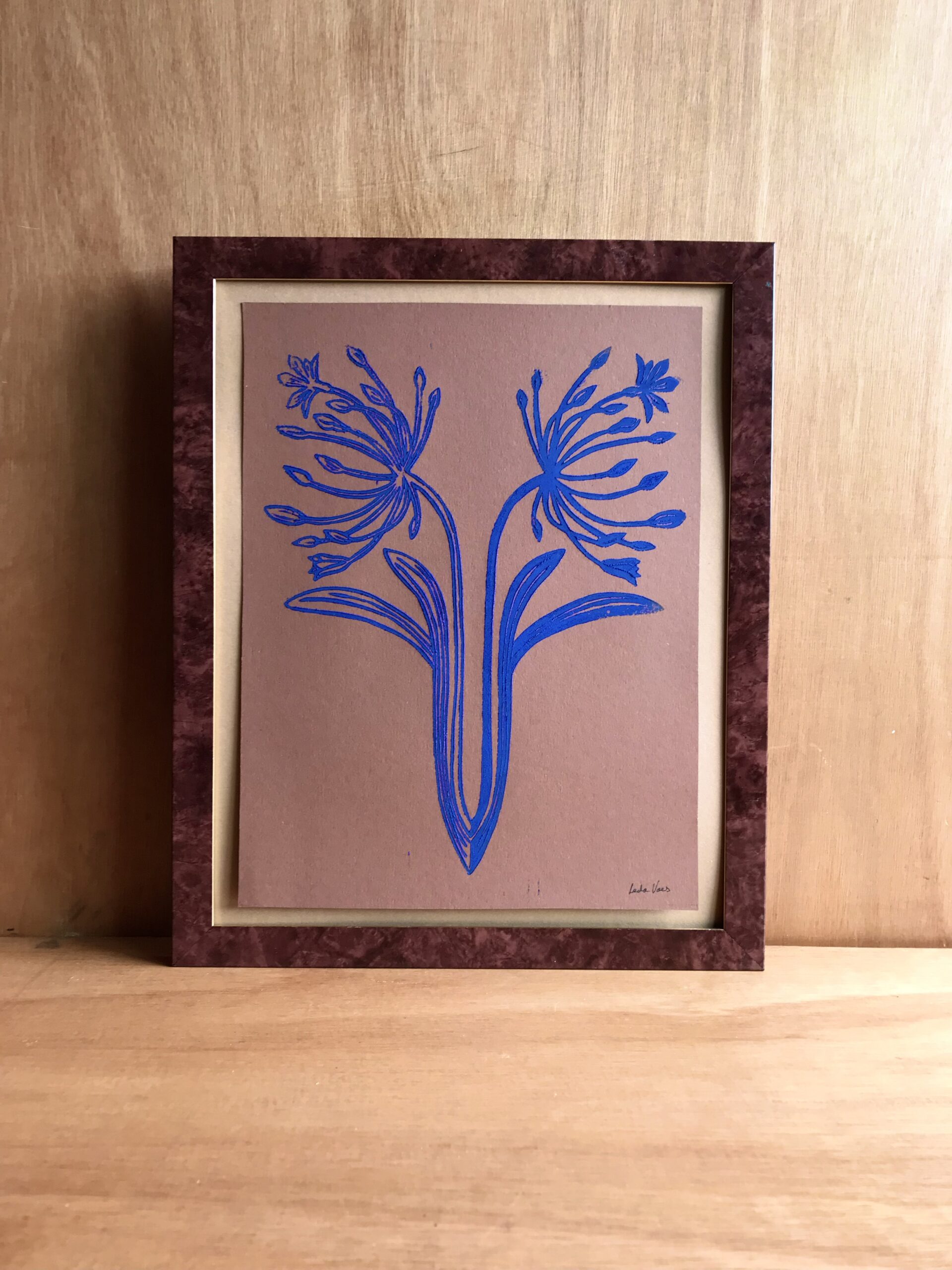 Agapanthus